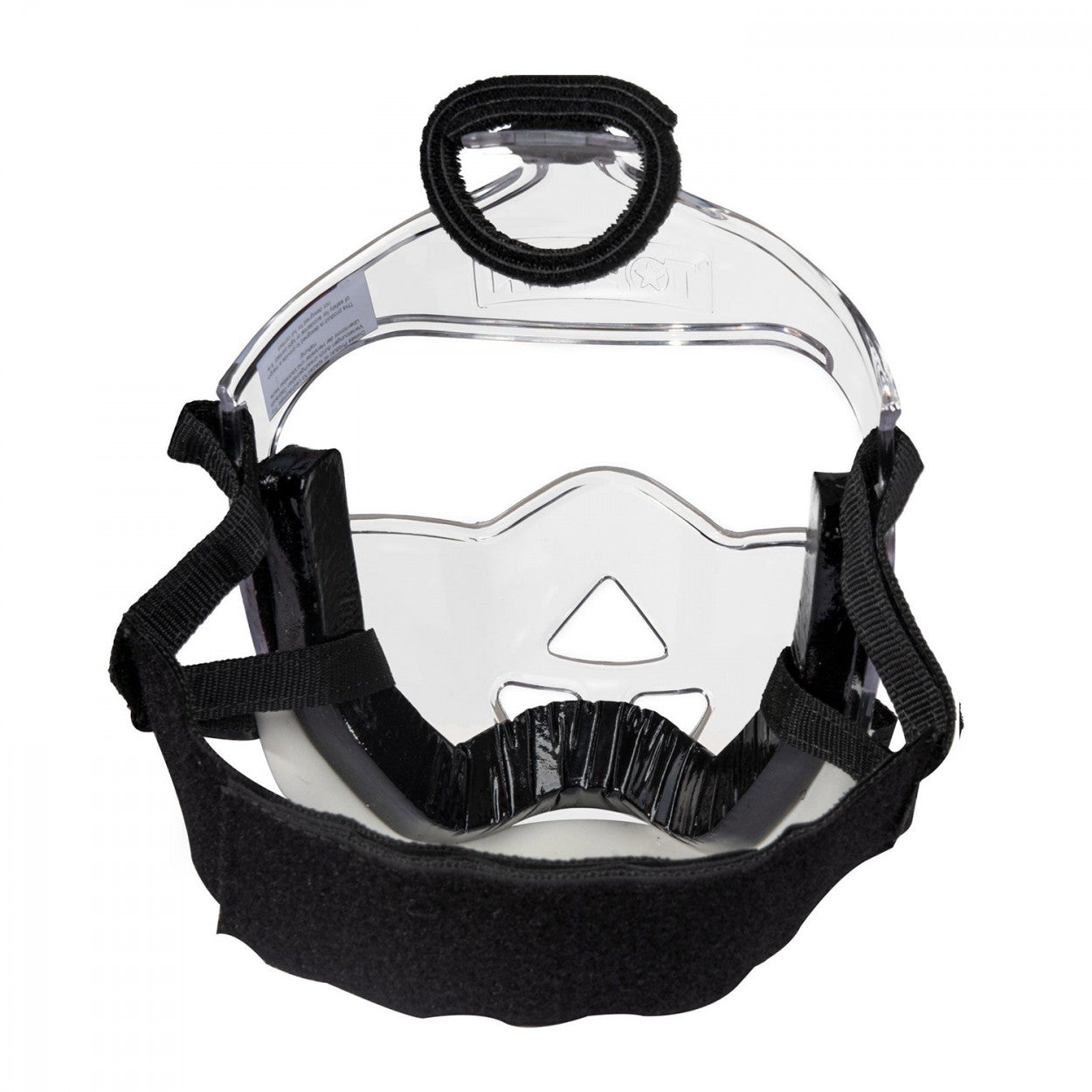 TOP TEN Protective Mask