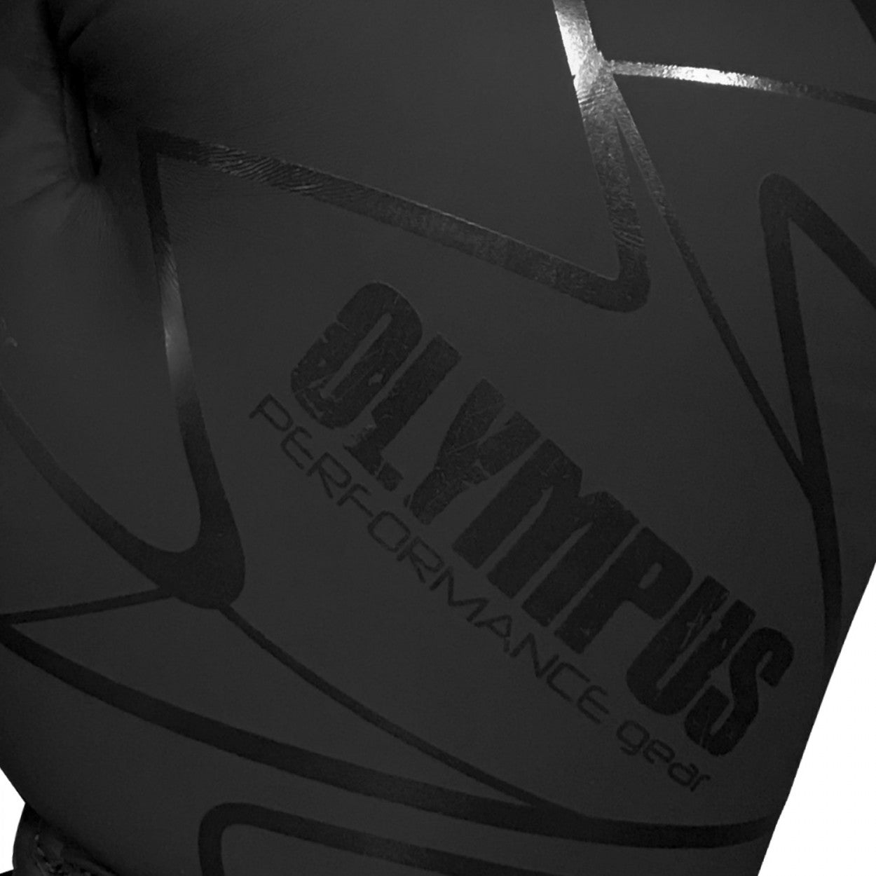 Olympus CHAOS Matte PU Boxing Gloves