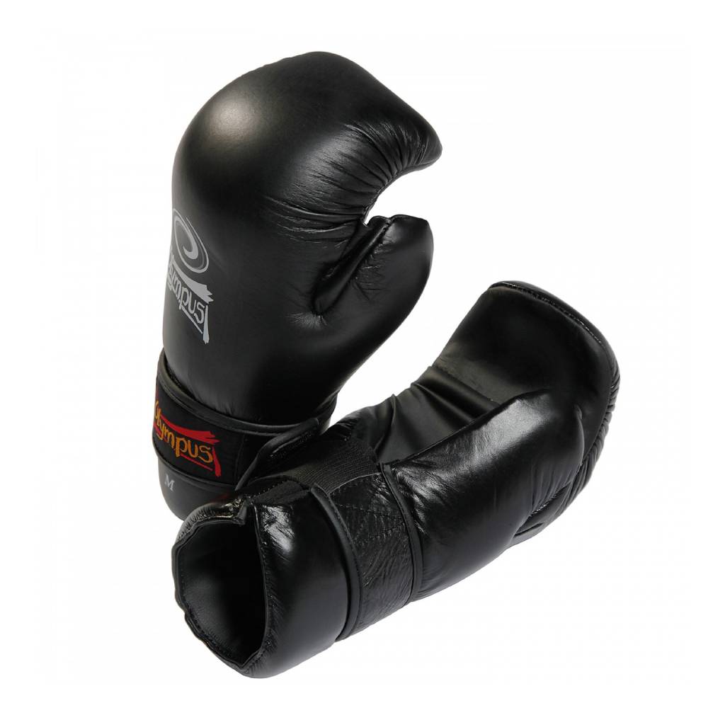 Pointfighting Protectors (21)