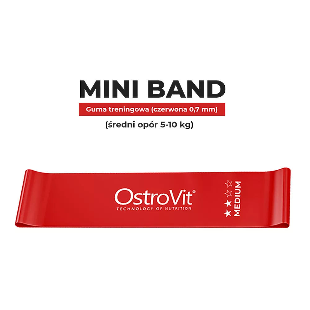 OstroVit Training Bands (Σετ 4 τεμαχίων + Τσαντάκι Μεταφοράς)